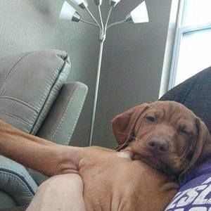 Meet your Posher, Dee